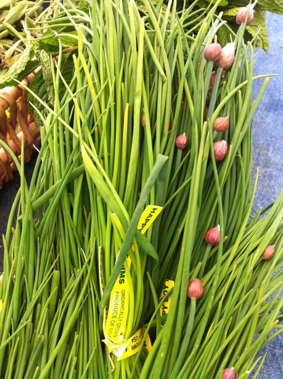 20110523-093533.jpg