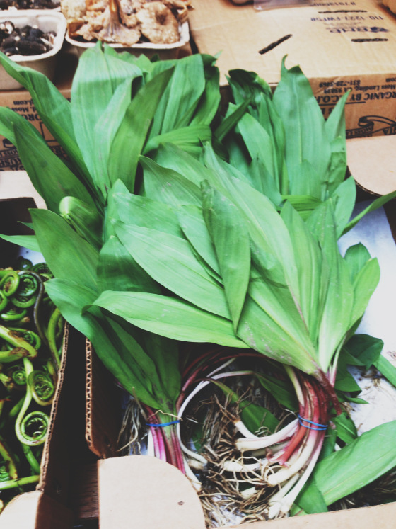ramps