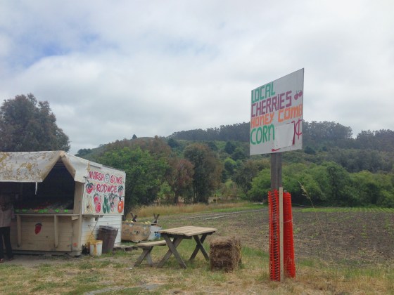 farm stand